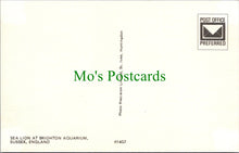 Load image into Gallery viewer, Animals Postcard - Sea Lion at Brighton Aquarium, Sussex SW10370