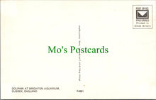 Load image into Gallery viewer, Animals Postcard - Dolphin at Brighton Aquarium, Sussex SW10372