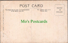 Load image into Gallery viewer, Humour Postcard - German Emperor Wilhelm, Potsdam Berlin 1914 - SW10383
