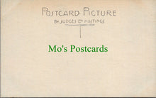 Load image into Gallery viewer, Animals Postcard - Cows - The Heat of The Day  SW10449