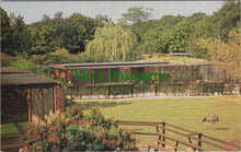 Load image into Gallery viewer, Surrey Postcard - Birdworld, Holt Pound, Nr Farnham SW10473