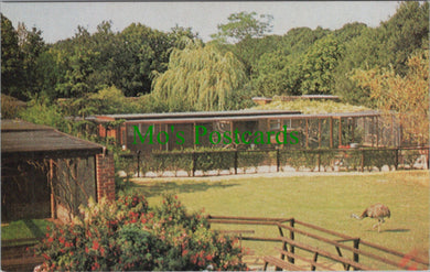 Surrey Postcard - Birdworld, Holt Pound, Nr Farnham SW10473