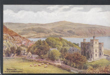Load image into Gallery viewer, Wales Postcard - Barmouth From Llanaber Road - Artist A.R.Quinton - Mo’s Postcards 
