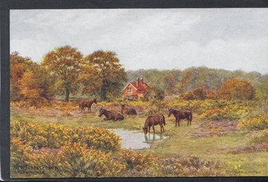 Hampshire Postcard - New Forest Ponies, Near Lyndhurst - Artist A.R.Quinton - Mo’s Postcards 