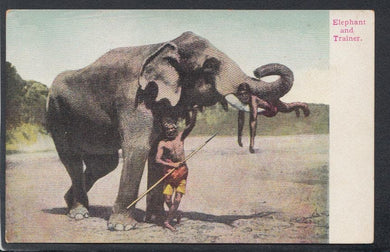 Animals Postcard - Elephant and Trainer - Mo’s Postcards 