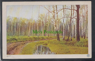 Nature Postcard - Countryside in April - Woodland Walk, Trees - Mo’s Postcards 