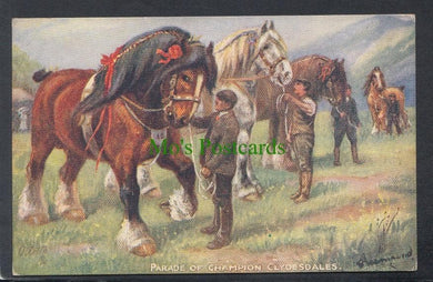 Animals Postcard - Horses - Parade of Champion Clydesdales - Mo’s Postcards 