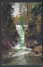 Load image into Gallery viewer, Rivers - Forest Scene - Waterfall
