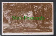 Load image into Gallery viewer, Burnham Beeches, Buckinghamshire