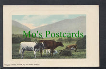 Load image into Gallery viewer, Animals - Cows - Happy Fields
