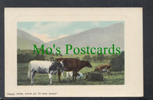 Load image into Gallery viewer, Animals - Cows - Happy Fields