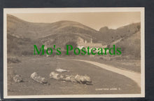 Load image into Gallery viewer, Quantock Moor, Somerset