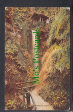 Load image into Gallery viewer, Shanklin Chine Waterfall, Isle of Wight