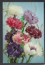 Load image into Gallery viewer, Nature Postcard - Flowers - Cornflower