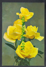 Load image into Gallery viewer, Nature Postcard - Flowers - Rose "Golden Rapture"