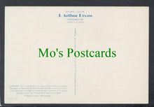 Load image into Gallery viewer, Nature Postcard - Flowers - Larkspur