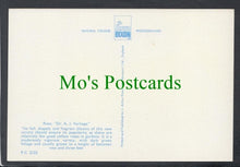 Load image into Gallery viewer, Nature Postcard - Flowers - Rose "Dr A.J.Verhage"