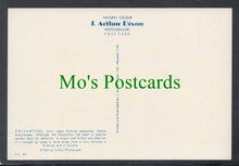 Load image into Gallery viewer, Nature Postcard - Flowers - Polyanthus