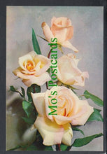 Load image into Gallery viewer, Nature Postcard - Flowers - Rose 'Michele Meilland'