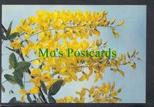 Load image into Gallery viewer, Nature Postcard - Flowers - Laburnum
