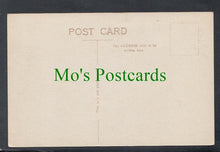 Load image into Gallery viewer, Winter Gardens, Weston-Super-Mare, Somerset