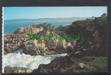 Load image into Gallery viewer, Point Lobos State Reserve, Carmel Bay, California