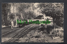 Load image into Gallery viewer, "Marshlander", World's Smallest Railway