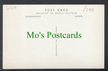 Load image into Gallery viewer, Borde Hill, Haywards Heath, Sussex