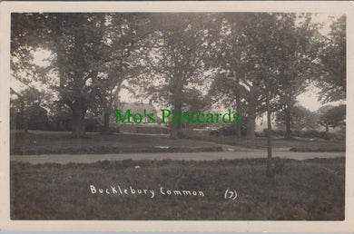 Bucklebury Common, Berkshire