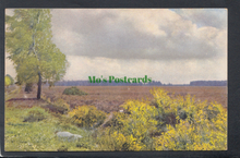 Load image into Gallery viewer, Nature Postcard - Landscapes - Countryside Scene - Mo’s Postcards 
