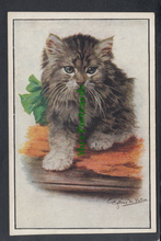 Load image into Gallery viewer, Animals - Artist View of a Cat