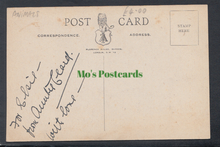 Load image into Gallery viewer, Animals - Artist View of a Cat