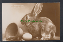 Load image into Gallery viewer, Greetings - Bright Eastertide, Rabbit
