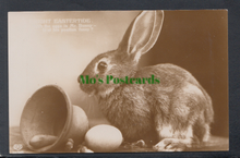 Load image into Gallery viewer, Greetings - Bright Eastertide, Rabbit
