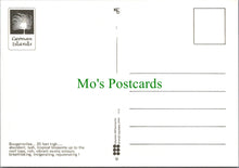 Load image into Gallery viewer, Bougainvillea of Cayman Islands, BWI