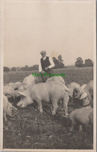 Load image into Gallery viewer, Farming - Pigs and Pig Farming