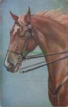 Load image into Gallery viewer, Animals Postcard - Beautiful Horse
