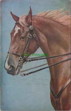 Animals Postcard - Beautiful Horse