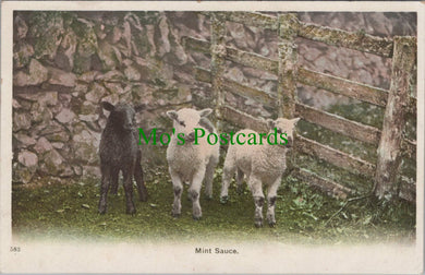 Animals Postcard - Sheep, Lambs - Mint Sauce
