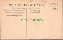 Load image into Gallery viewer, Animals Postcard - Sheep, Lambs - Mint Sauce