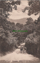 Load image into Gallery viewer, Beechen Hill, Cranleigh, Surrey