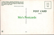 Load image into Gallery viewer, A Forest Highway, Western Washington