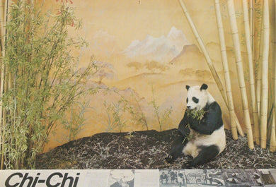 Animals Postcard - Giant Panda, Chi-Chi - British Museum - Mo’s Postcards 