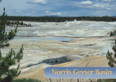 America Postcard - Norris Geyser Basin, Yellowstone National Park, Wyoming - Mo’s Postcards 