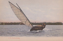 Load image into Gallery viewer, Sports Postcard - Yachting - A Fine Sailing Breeze - Mo’s Postcards 
