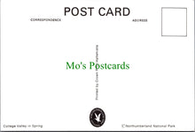 Load image into Gallery viewer, College Valley in Spring, Northumberland