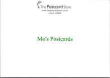 Load image into Gallery viewer, Animals Postcard - Two Foxes