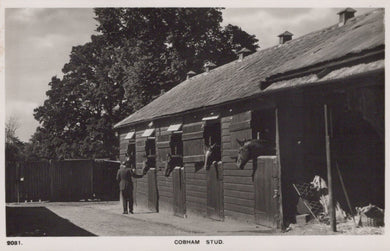 Surrey Postcard - Cobham Stub - Horses / Stables - Mo’s Postcards 