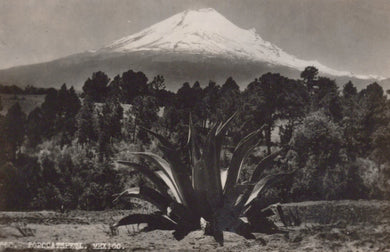 Mexico Postcard - Popocatépetl - An Active Stratovolcano - Mo’s Postcards 