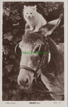 Load image into Gallery viewer, Animals - Neddy &amp; I - Donkey &amp; Cat
